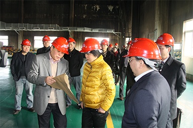2012年1月31日，時(shí)任嘉興市委書記魯俊率領(lǐng)市發(fā)改委等市級(jí)部門負(fù)責(zé)人到公司調(diào)研